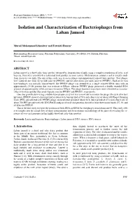 Isolation and Characterization of Bacteriophages from Laban Jameed
