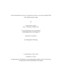 Uvic Thesis Template