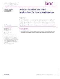 What Are Neural Oscillations?