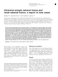 Intrarenal Ectopic Adrenal Tissue and Renal–Adrenal Fusion: a Report of Nine Cases
