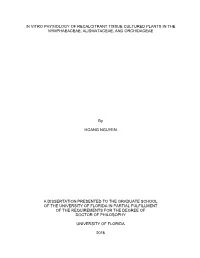 University of Florida Thesis Or Dissertation Formatting