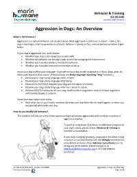 Aggression in Dogs an Overview