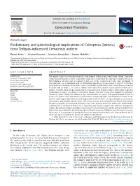 From Tethyan-Influenced Cretaceous Ambers