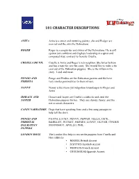 101 Character Descriptions