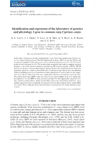 Identification and Expression of the Laboratory of Genetics and Physiology 2 Gene in Common Carp Cyprinus Carpio