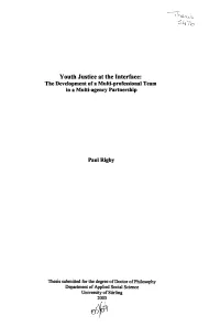Youth Justice at the Interface: the Development of a Multi-Professional Team in a Multi-Agency Partnership