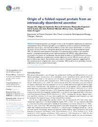 Origin of a Folded Repeat Protein from an Intrinsically Disordered Ancestor