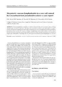 Mesenteric Caseous Lymphadenitis in a Cow Calf Caused by Corynebacterium Pseudotuberculosis: a Case Report