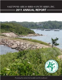 2011 Annual Report