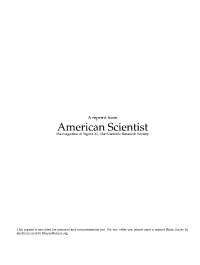 Computer Vision and Computer Hallucinations