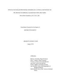 Dissertation.Pdf