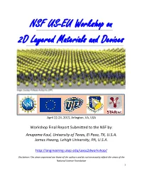NSF US-EU Workshop on 2D Layered Materials and Devices