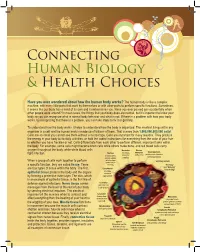 The Human Body Is Like a Complex Machine, with Many Little Parts That Work by Themselves Or with Other Parts to Perform Specific Functions