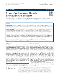 A Case of Perforation of Meckel's Diverticulum with Enterolith