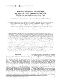 Geographic Distribution, Colour Variation and Molecular Diversity of Miniature Frogs of the Eleutherodactylus Limbatus Group from Cuba