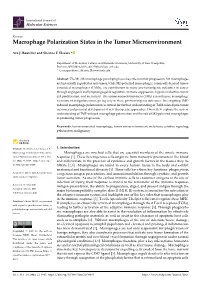 Macrophage Polarization States in the Tumor Microenvironment