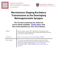 Mechanisms Shaping Excitatory Transmission at the Developing Retinogeniculate Synapse