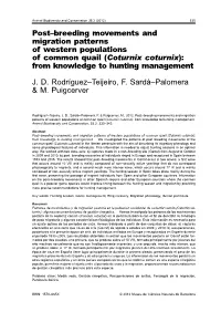Post–Breeding Movements and Migration Patterns of Western Populations of Common Quail (Coturnix Coturnix): from Knowledge to Hunting Management