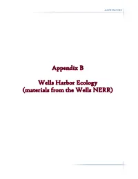 Appendix B Wells Harbor Ecology (Materials from the Wells NERR)