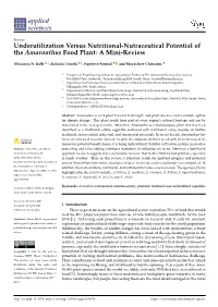 Underutilization Versus Nutritional-Nutraceutical Potential of the Amaranthus Food Plant: a Mini-Review