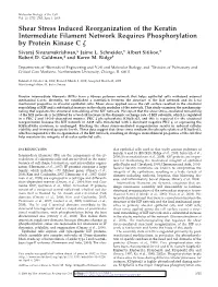 Shear Stress Induced Reorganization of the Keratin Intermediate Filament Network Requires Phosphorylation by Protein Kinase C ␨ Sivaraj Sivaramakrishnan,* Jaime L