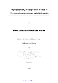 Complete Thesis