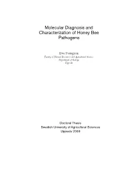 Molecular Diagnosis and Characterization of Honey Bee Pathogens