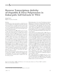 Reverse Transcriptase Activity of Hepatitis B Virus Polymerase in Eukaryotic Cell Extracts in Vitro