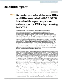 Secondary Structural Choice of DNA and RNA Associated with CGG
