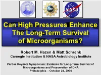 Can High Pressures Enhance the Long-Term Survival of Microorganisms?