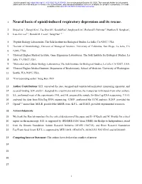 Neural Basis of Opioid-Induced Respiratory Depression and Its Rescue