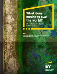 What Does Business Owe the World? US Sustainability Report Summary 2017 About This Report