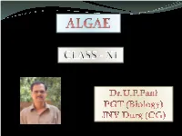 Introduction to Algae