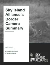 SIA Border Cameras Report