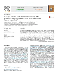 A Delayed Response of the Trace Fossil Community at the Cretaceous