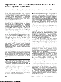 Expression of the ETS Transcription Factor ELF3 in the Retinal Pigment Epithelium