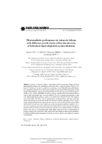 Photosynthetic Performance in Antarctic Lichens with Different Growth Forms Reflect the Diversity of Lichenized Algal Adaptation to Microhabitats