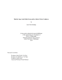 Serial Media Forms and the Affective Work of Audiences by Anne