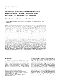 Susceptibility of Heterozygous and Nullizygous P53 Knockout Mice to Chemical Carcinogens: Tissue Dependence and Role of P53 Gene Mutations