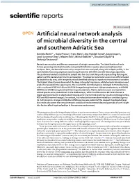 Artificial Neural Network Analysis of Microbial Diversity in the Central and Southern Adriatic