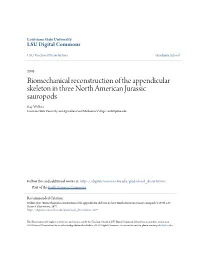 Biomechanical Reconstruction of the Appendicular Skeleton in Three