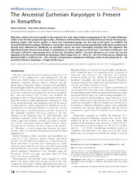 The Ancestral Eutherian Karyotype Is Present in Xenarthra