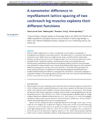 A Nanometer Difference in Myofilament Lattice Spacing of Two Cockroach