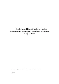 Background Report on Low Carbon Strategies and Policies In