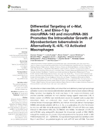 Differential Targeting of C-Maf, Bach-1, and Elmo-1 by Microrna