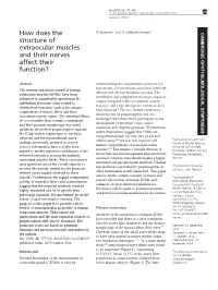 How Does the Structure of Extraocular Muscles and Their Nerves