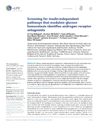 Screening for Insulin-Independent Pathways That Modulate Glucose