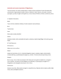 Systematic and Economic Importance of Magnoliaceae: Trees and Shrubs