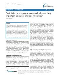 What Are Strigolactones and Why Are They Important to Plants and Soil Microbes? Steven M Smith