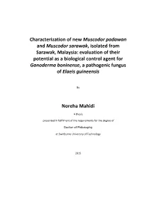 Evaluation of Their Potential As a Biological Control Agent for Ganoderma Boninense, a Pathogenic Fungus of Elaeis Guineensis